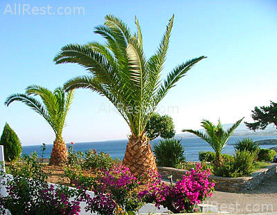 Paraktio Beach Hotel 4